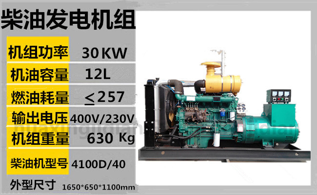 30KW柴油发电机组1.jpg